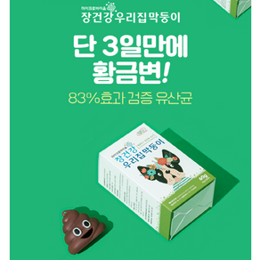 반려동물 쾌변 장건강 유산균 30포, 60g, 1세트