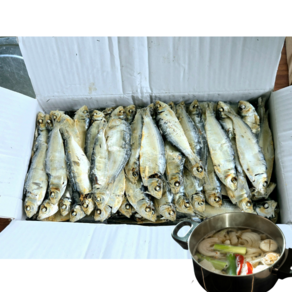 햇 디포리 육수용 밴댕이 1.5kg