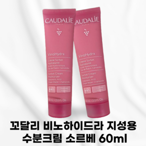 [국내정품] CAUDALIE 꼬달리 비노하이드라 지성용 수분크림 소르베 수분충전 수분진정케어제품 히알루론산 카모마일추출 자연유래성분, 1개, 60ml