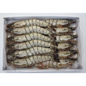 블랙타이거 왕 새우 500g 8미 12미 신선 배송, 1개, 500g(12미)