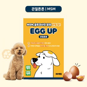 [에그업] 강아지 짜먹는 계란간식 강아지츄르 스틱파우치 1박스 (30P), 360g, 1개, 관절튼튼(MSM)