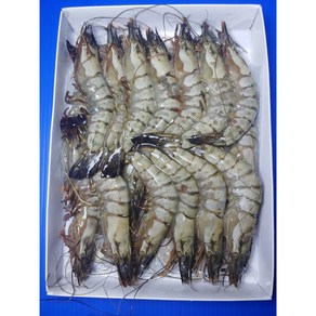 다원 새우 블랙타이거 20미 500g, 20개