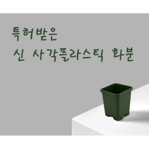 국내 원예 사각 플라스틱 화분 화이트 모종분, 1개