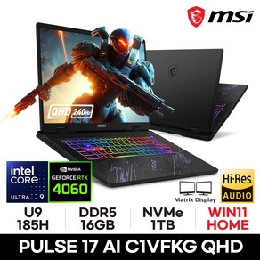 MSI 펄스 17 AI C1VFKG-U9 QHD 울트라9 185H RTX 4060, WIN11 Home, 16GB, 1TB, 블랙