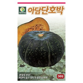 방울 하늘 참외 10립 - 씨 씨앗 참외씨앗 참외씨 방울참외 하늘참외 채소씨 채소씨앗