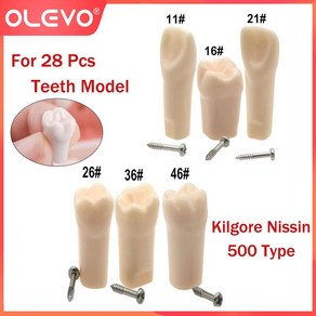 치아모형 OLEVO 치과 표준 나사식 탈착식 교체 연습 훈련 모델 M8024-6 킬고어 닛신 500 유형에 적합, 3.6 Pcs Mix