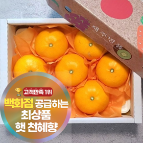 [백화점공급] 최상품 블랙등급 제주 천혜향 과일 선물세트 가방증정, 1박스, 1.5kg(명품 소과)