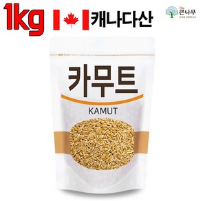 The큰나무 캐나다산 오리지널 카무트, 1개, 1kg