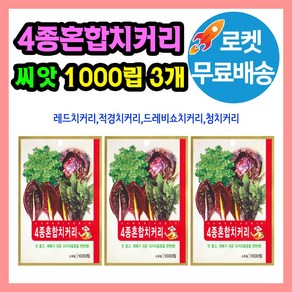 4종혼합치커리 씨앗 치커리 종자, 3개