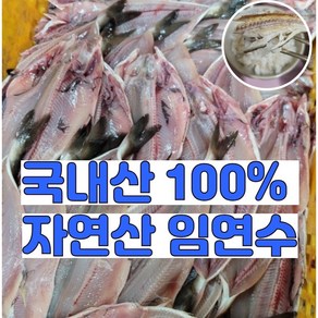 [특등급] 굽기만 하면 백반집 퀄리티! 손질된 초간편 동해안 자연산 반건조 임연수 구이용, 1세트, 5미 500g 내외