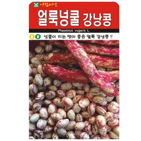 재래종 얼룩넝쿨 강낭콩 30g, 1개