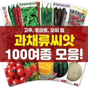 각종 과채류 씨앗 모음 고추 피망 딸기 수박 토마토 씨 종자, 93-적아스파라거스40립, 1개