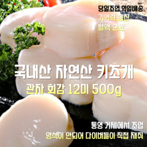 [산지직송] 국내산 자연산 통영 키조개 관자 횟감 12미 500g, 1세트