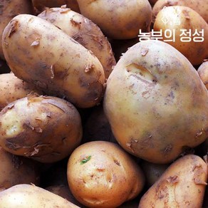 농부의정성 [농부의정성] 포근포근 햇감자 못난이 5kg 대특대왕특왕왕특