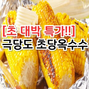 [초대박깜짝특가] 초당박사재배 고당도 초당옥수수, 10개, 중품