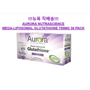 Auoa Nutascience 오로라 뉴트라사이언스 리포소말 글루타치온 액상 15ml 32팩 Mega-Liposomal Glutathione 750 mg 16 oz, 480ml, 1개