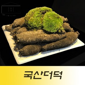 국산흙더덕1kg 국산피더덕 제주더덕 제주도더덕, 중(1kg), 1개