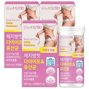 에버뉴트리 체지방컷 다이어트 유산균 카테킨 체지방감소 장건강