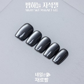 [네일은재료빨] 밤하늘자석젤 블랙자석젤, 실버(small 작은입자), 1개, 9g