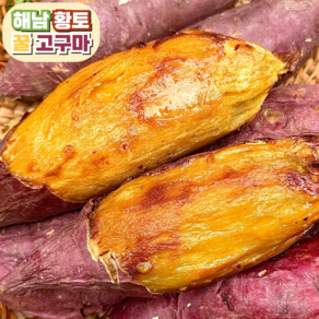 [산지직송] 베니하루카 해남황토 꿀고구마 비세척, 1개, 10kg(중) 60g-120g