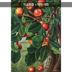 1014피스 직소퍼즐+액자세트 - 사과나무 (액자포함), 단품, 1개