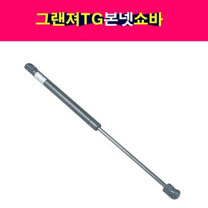 그랜져TG 본넷쇼바 후드리프터 811613L001