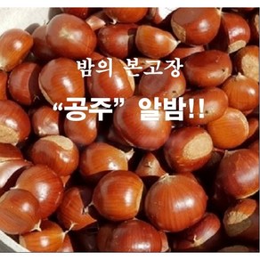 24년햇공주밤(대) 2kg ~8kg, 1개, (대) 8kg