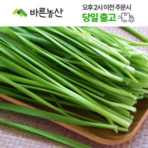 < 바른농산 > 당일수확 국내산 부추 1kg 2kg 4kg