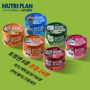 [고양이 최애캔/160g x 24캔] 동원 뉴트리플랜 참치&토핑6종(닭가슴살 연어 멸치 게맛살 크릴새우 치즈), 24개, 160g, 토핑캔6종 혼합