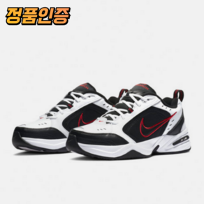 NIKE 나이키 스포츠웨어 운동화 러닝화 에어 모나크 IV 415445-101