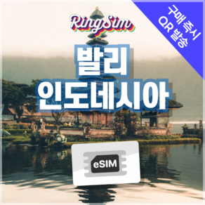 인도네시아이심 e심 발리 자카르타 esim 유심 링심, 매일 2GB, 5일, 1개