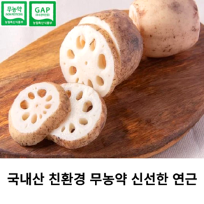 국내산 무농약 친환경 신선한 연근 1kg 국산 무농약 흙연근 햇연근 숫연근 제철 채소 파지연근 산지직송 찰흙땅