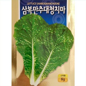 여름 청치마 상추씨앗 (8g)