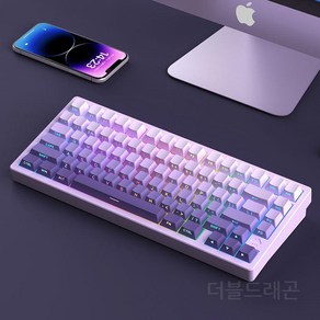 WOB 레이니75키캡 PBT 기계식 키보드 133키 풀배열, 퍼플