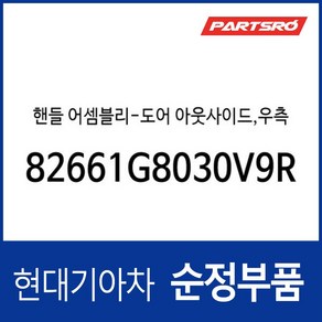 핸들 어셈블리-도어 아웃사이드 우측 (82661G8030V9R)