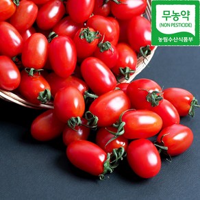 [당일수확발송] 무농약 대추방울토마토 1kg 2kg (1-3번과/로얄과) 농협 로컬푸드