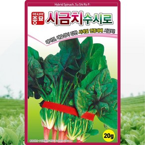 수시로 시금치 씨앗 20g 사계절 연중재배 시금치씨 종자