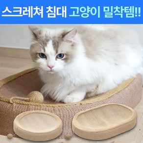 컴포어 고양이 사이잘 스크래쳐 매트, 1개