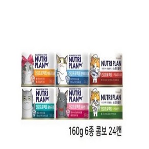 동원 뉴트리플랜 뽀짜툰 건강프로젝트 고양이캔 160g x 24개 대용량 기능성캔 고양이간식, 뽀짜툰 면역