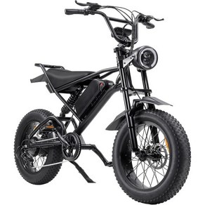 1500W Fat Tie Electic Bike 20인치 x 4.0인치 착탈식 48V 배터리가 장착된 성인 전기 자전거 전기 자전거 30MPH 7단 시스템 통근용 먼지 자전, 1개