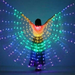 밸리댄스날개 오리엔탈날개 댄스날개 이시스 이시스날개 댄스소품 무지개색 Belly Dance wings ainbow coloful wings 5 colo