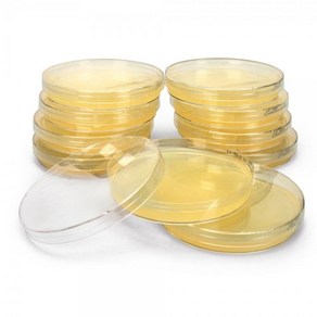 유산균 배양용 배지 MRS Aga Plate (낱개상품)