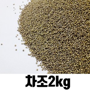 밥보야 수입 차조 청차조 2kg