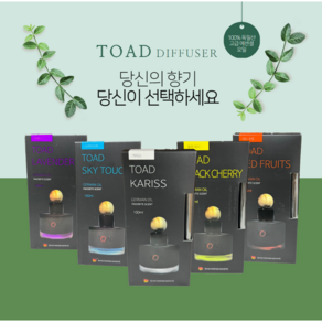 토드 무알콜 디퓨저 100ml, 레드후룻, 1개