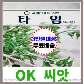 [OK씨앗] [타임(백리향)] 백리향 허브씨앗 종자(오케이씨앗), 1개