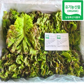 100% 유기농 친환경 꽃상추 300g, 300g(1개), 1개