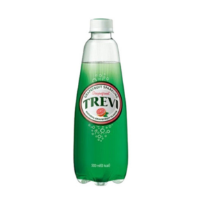 트레비 롯데칠성음료 자몽, 500ml, 18개