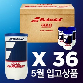 바볼랏 36캔 1박스 테니스공 시합구, 72개, 옐로우