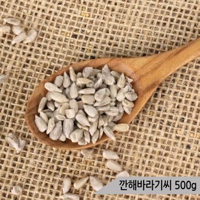 건강알곡 깐해바라기씨 500g 앵무새 햄스터 소동물간식, 1개