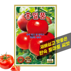 토마토 씨앗 완숙 찰토마토 씨 종자, 1개